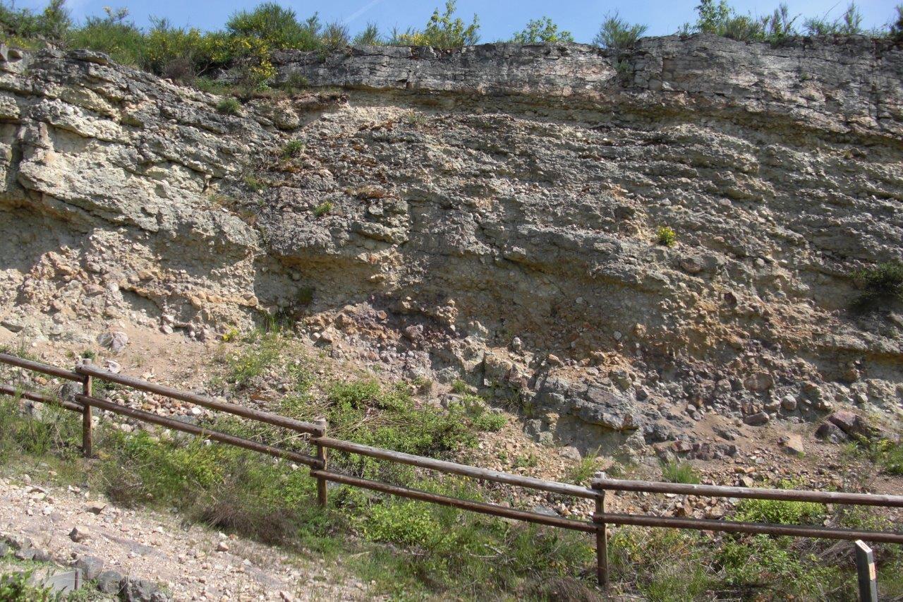 cimg0956.jpg